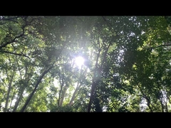 Fuente de alimentación para altavoces Bluetooth 192WH batería de litio y fosfato de hierro